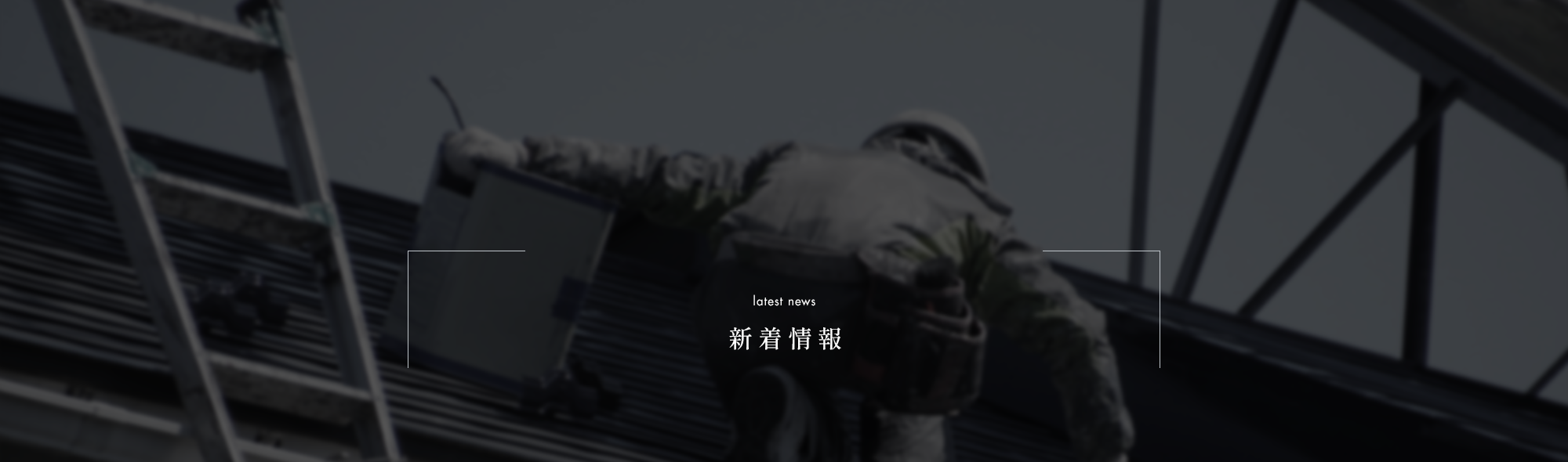 新着情報